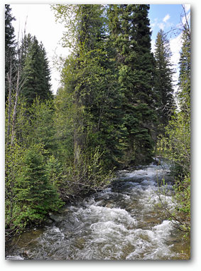 North Fork of the Salmon River running through this Idaho Land for sale at Moose Creek Estates Premier Mountain Property for Sale