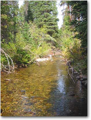 North Fork of Salmon River on Idaho mountain properties for sale at MCE