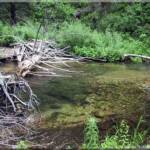 Natural pool along the North Fork River at Moose Creek Estates North Fork River corridor / greenbelt a premier Idaho river property