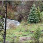 North Fork of the Salmon River in early spring at Moose Creek Estates premier Idaho riverfront property for sale