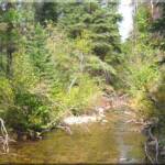 Clear waters at the North Fork of the Salmon River at Moose Creek Estates premier Idaho mountain real estate