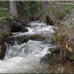 North Fork River from bridge at Moose Creek Estates premier Idaho mountain real estate.