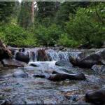 View of the North Fork of the Salmon River at Moose Creek Estates premier Idaho mountain real estate