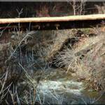 One of several bridges over the North Fork river at Moose Creek Estates, great for hiking