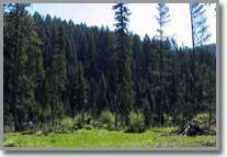 Idaho River Property For Sale Lot 5A