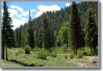 Idaho Real Estate Acreage a Scenic River Front Property at Moose Creek Estates