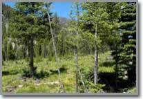 Property by Owner in Idaho, Rocky Mountain Land for Sale, Lot 17B