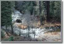 Idaho Fishing Property for Sale at Moose Creek Estates Premier Idaho Mountain Real Estate