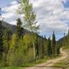 2.5 mile road through Moose Creek Estates Mountain Property for sale near the Idaho and Montana Border, just 4 miles from Lost Trail Mountain Ski Resort.