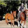 Horseback riding in Idaho offers miles of trails to explore.  Set out on your own, with a local outfitter or join a horseback riding club in the area for group outings.