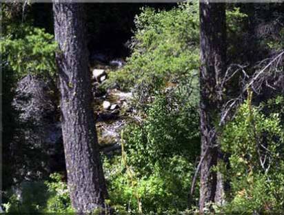 Idaho Waterfront Property for Sale Lot 11  view of North Fork of Salmon River near Montana Border