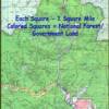 United States Forest Service map showing Moose Creek Estates Idaho land for sale is surrounded by National Forest for unlimited recreational opportunities