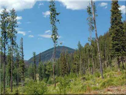 Idaho Hunting Property for Sale on the Idaho Montana border bordering thousands of acres of Public Land - A hunter's paradise