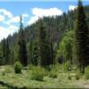 Lot 17A view to the south, property by owner in Idaho.