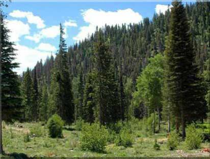 Idaho Property by Owner Lot 17A - Premier Rocky Mountain Real Estate 