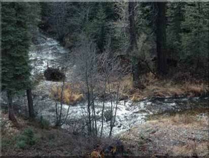 Idaho Waterfront Property for Sale Lot 20  view of North Fork River at Moose Creek Estates a great Idaho realty