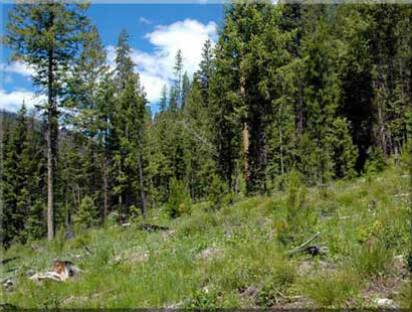 Lot 21 Property by Owner Idaho - A premier Idaho Rocky Mountain Real Estate Gated Community