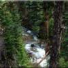 View of the West Fork River into Old Growth Forest at Moose Creek Estates from Lot 2a Idaho waterfront property at Moose Creek Estates, just 30 miles north of Salmon, Idaho. 