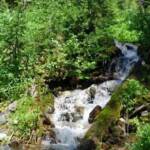 Idaho High Mountain Stream