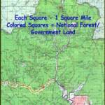 USFS map showing Moose Creek Estates premier mountain and ski property for sale is surrounded by National Forest